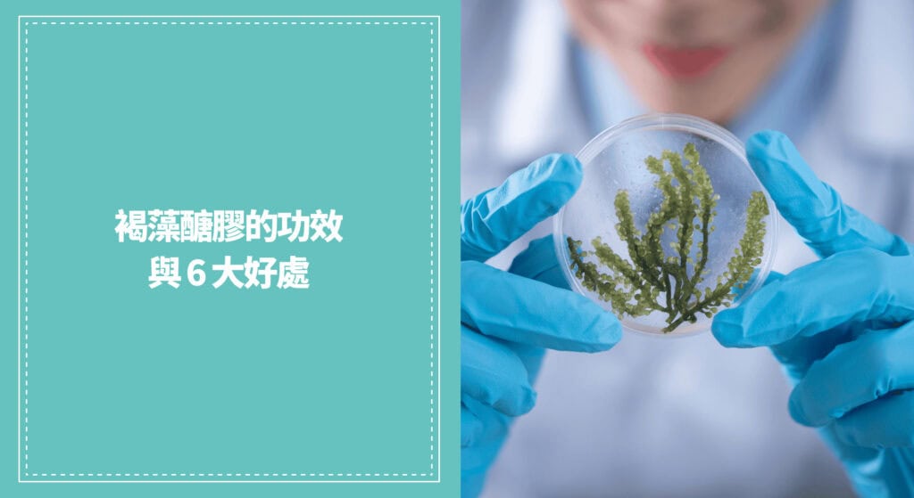 褐藻醣膠的功效與 6 大好處