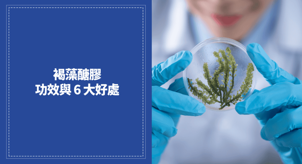 褐藻醣膠的功效與 6 大好處