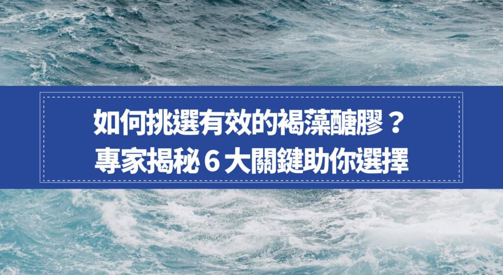 如何挑選有效的褐藻醣膠？專家揭秘 6 大關鍵助你選擇