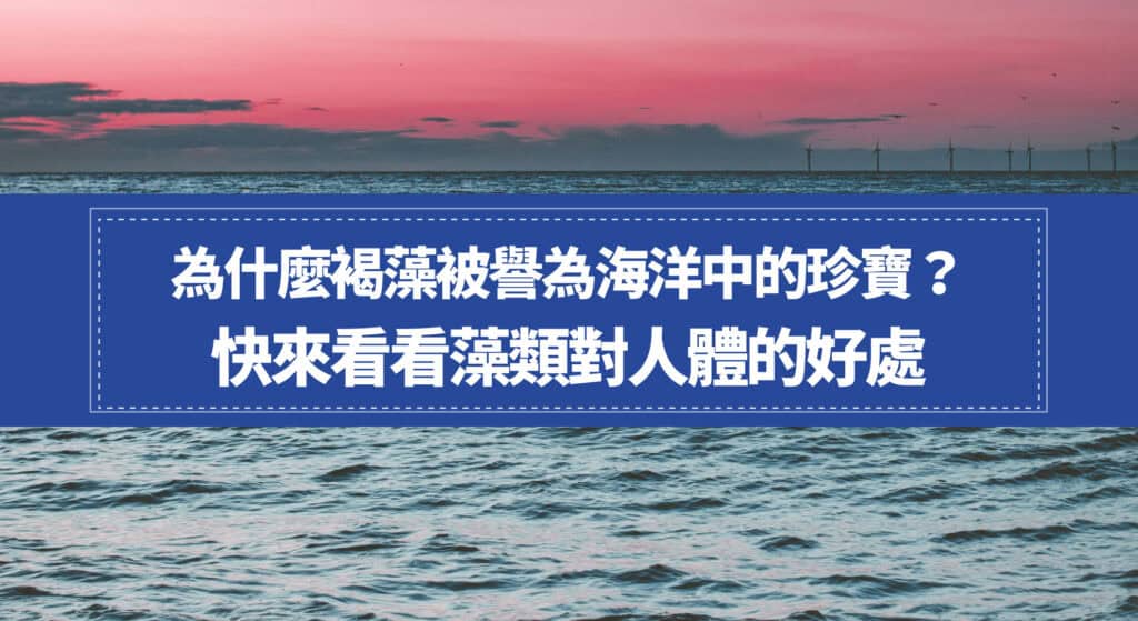 為什麼褐藻被譽為海洋中的珍寶？快來看看藻類對人體的好處