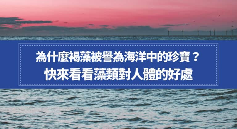 為什麼褐藻被譽為海洋中的珍寶？快來看看藻類對人體的好處